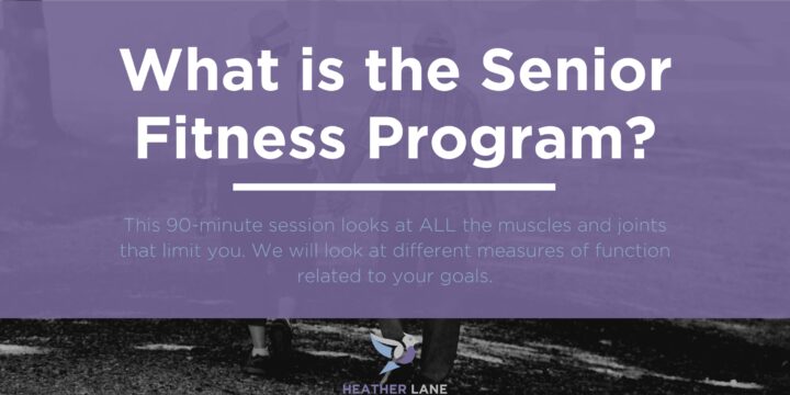 What is the Senior Fitness Program?
